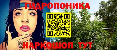 ECSTASY Пенза