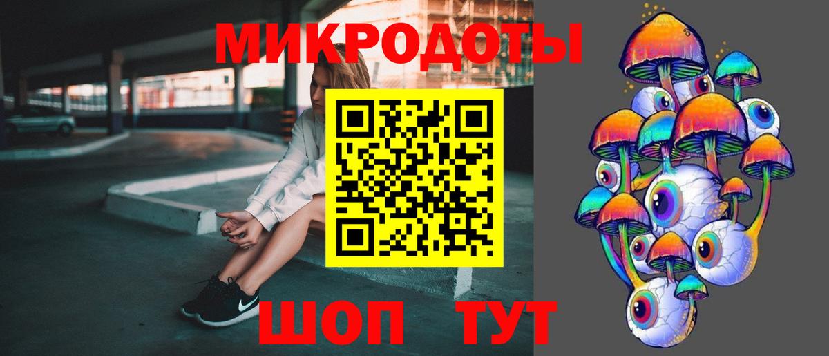 Псилоцибиновые грибы Psilocybe Саянск
