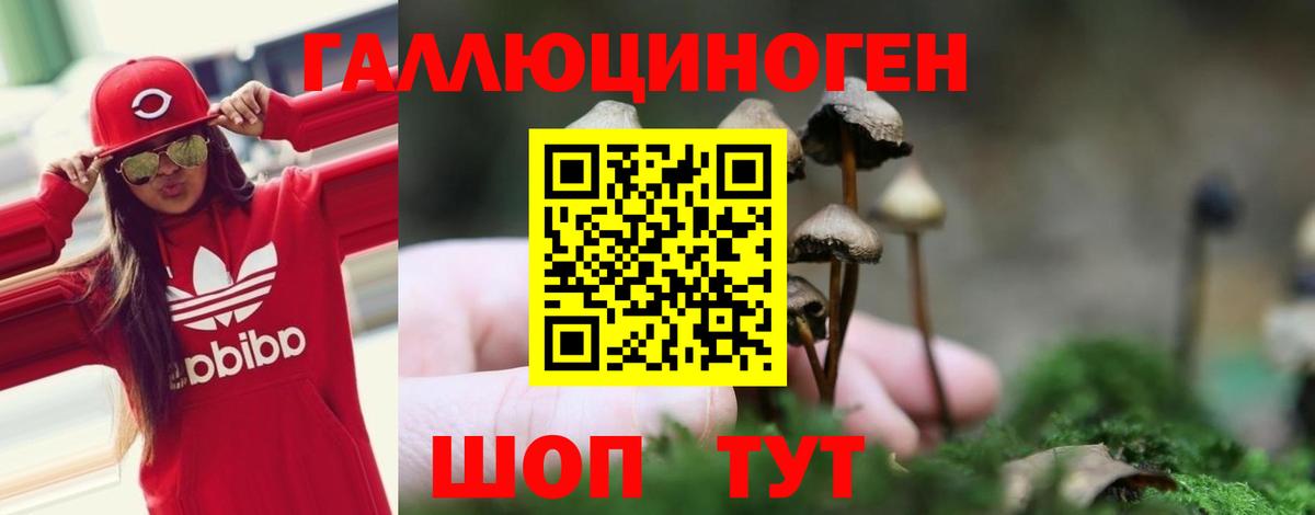 Саянск  Галлюциногенные грибы Psilocybine cubensis  Вход с VPN  сколько стоит  Псилоцибиновые грибы прущие грибы 